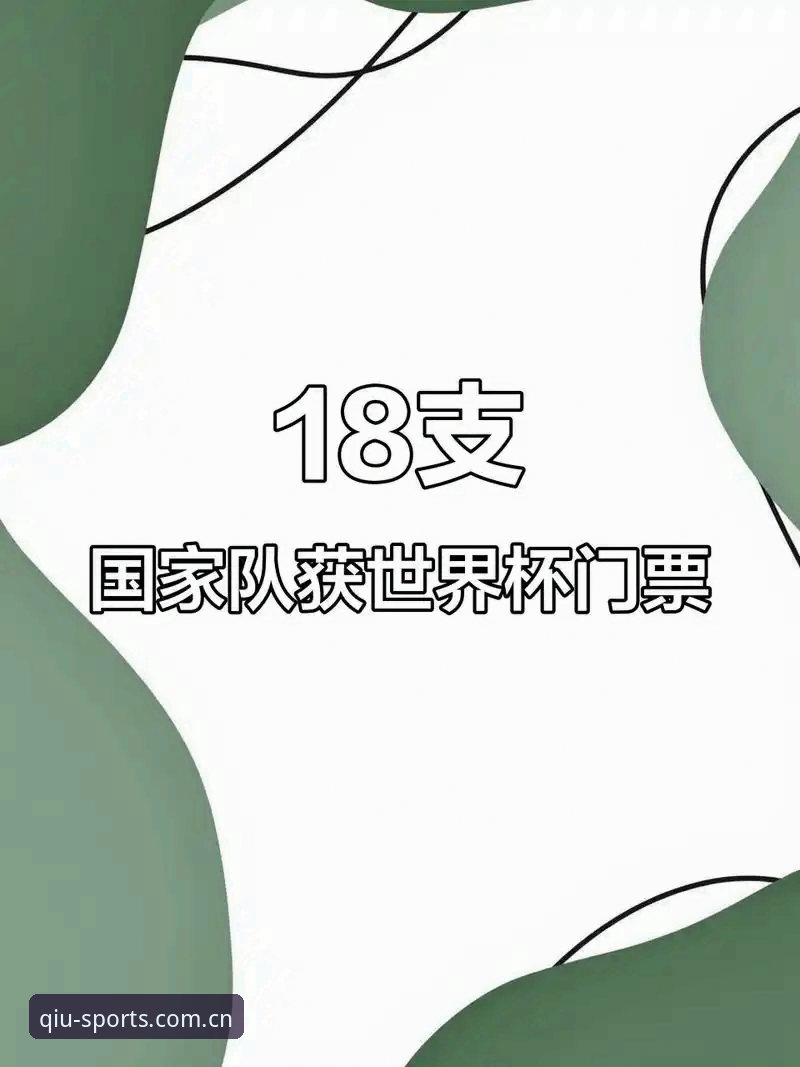 揭秘世界杯门票背后：签证危机如何摧毁数万球迷的观赛梦